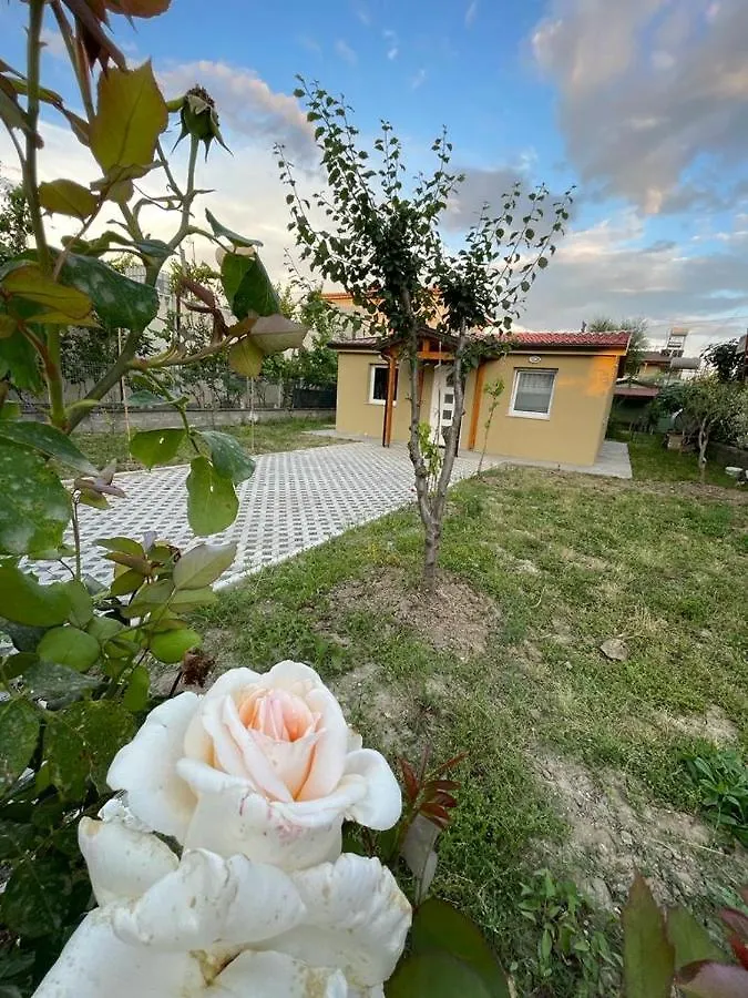 Cozy Wooden House Villa Durres 0*,